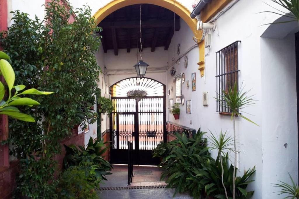 Tipico Y Pintoresco Patio De Vecinos, Con Encanto Seville Exterior photo