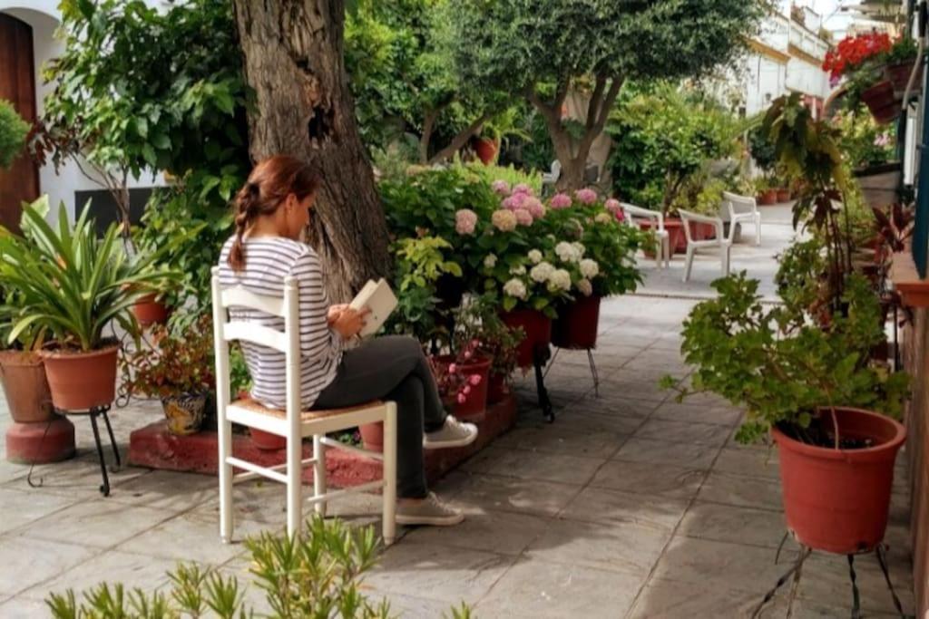 Tipico Y Pintoresco Patio De Vecinos, Con Encanto Seville Exterior photo